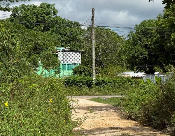 Land for Sale in Ladyville Belize