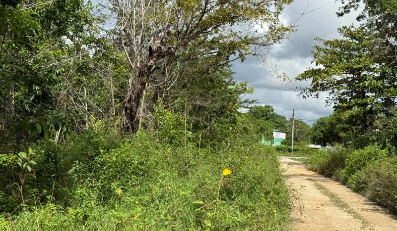 Land for Sale in Ladyville Belize