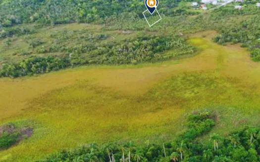 Affordable Land for Sale in Belize – Lords Bank Opportunity