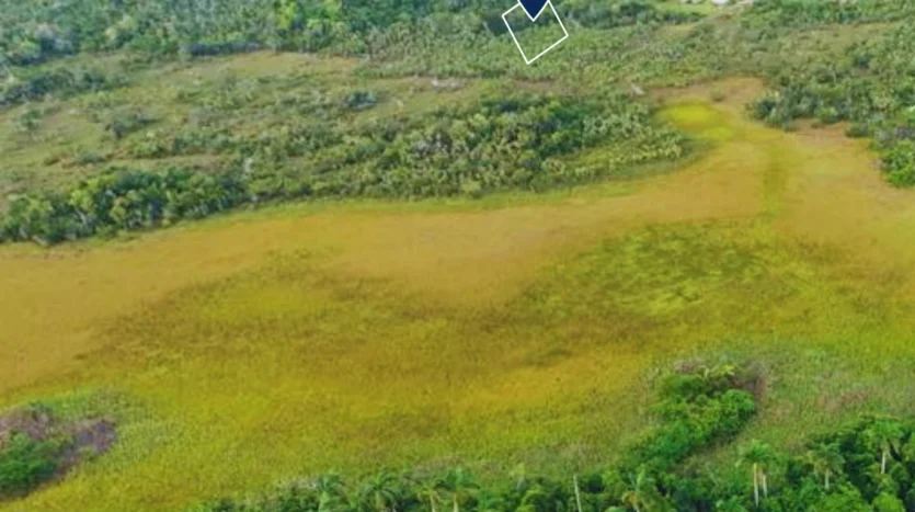 Land for Sale in Belize Lords Bank