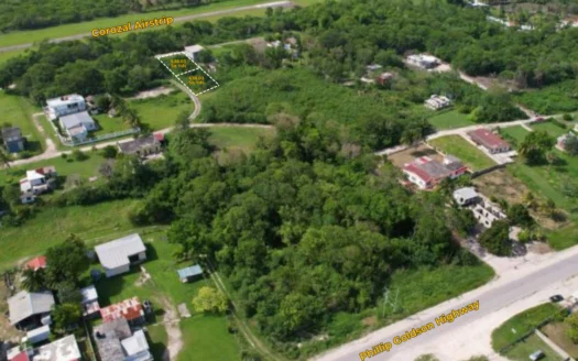 Land for Sale in Corozal Belize – Ranchito Village Opportunity