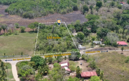 LAND FOR SALE GEORGE PRICE HIGHWAY BELIZE
