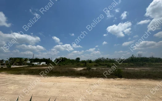 Coastal Property Belize – Discover La Horizon Canal Community Near Corozal Town