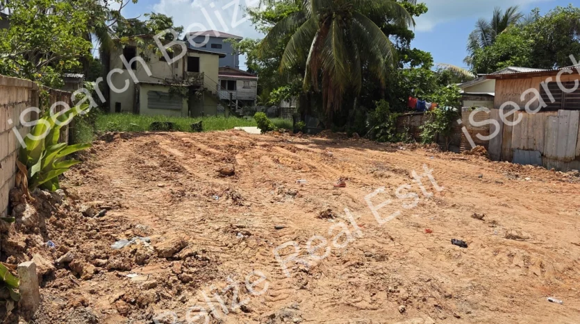 572.89 sqm lot behind La Popular Bakery