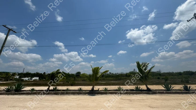 Belize Investment Property
