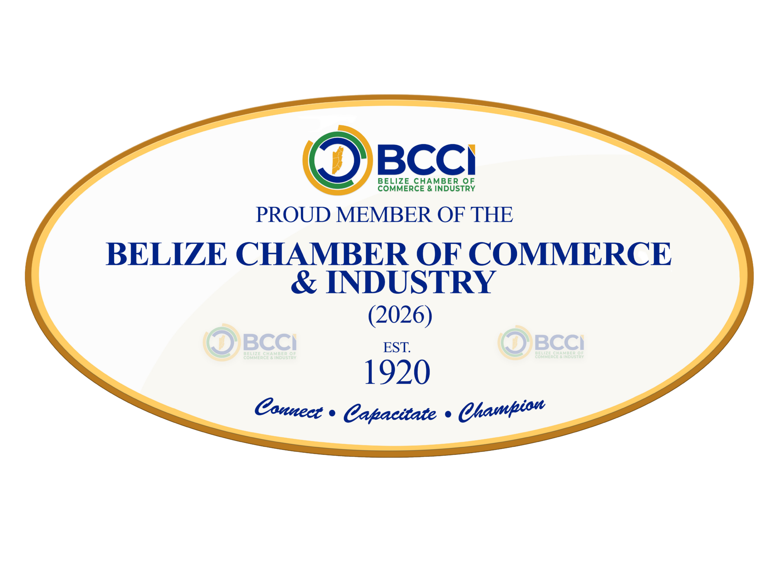 belize chamber of commerce logo