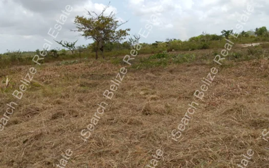 Land for Sale in Hattieville Belize – Cleared Residential Lot with Development Potential