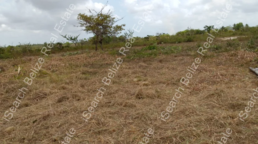 Cleared Residential Lot in Hattieville Village
