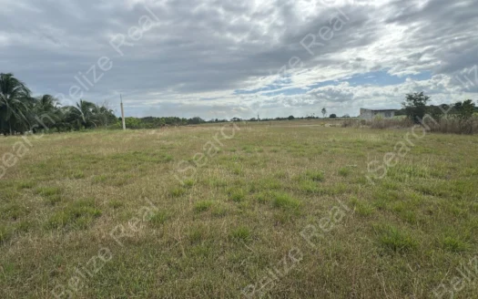 Land for Sale in Orange Walk Belize – Affordable 100 x 110 Ft Lot in San Jose Village