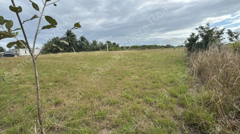 Affordable Land for Sale Near Orange Walk Town