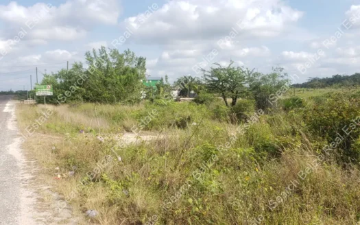 Land for Sale in Hattieville Belize – Cleared Residential Lot with Development Potential