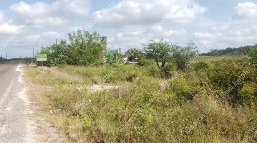 Belize District Land for Sale Near Burrell Boom Road