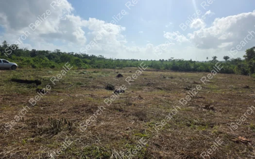 Land for Sale in Banana Bank Belize – Quarter Acre Lots for Only $55,000 BZD