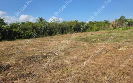 Land for Sale in Banana Bank Belize – Quarter Acre Lots for Only $55,000 BZD