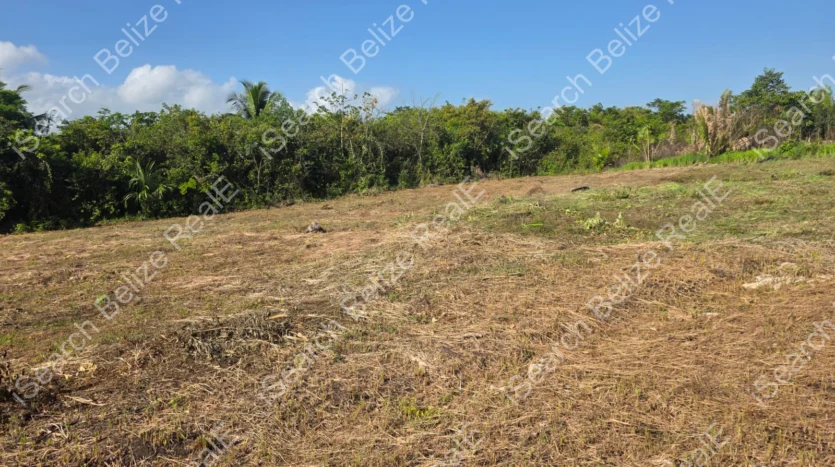 Quarter Acre Lots in Banana Bank Cayo District