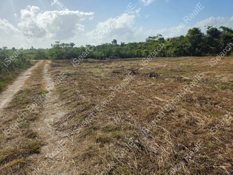 Land for Sale in Banana Bank Belize – Quarter Acre Lots for Only $55,000 BZD