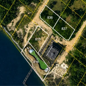 Corozal land auction