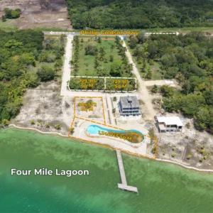 Corozal land auction