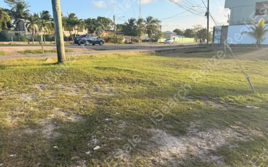 Land for Sale on George Price Highway Belize
